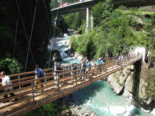 Hängebrücke im Wassnerwald